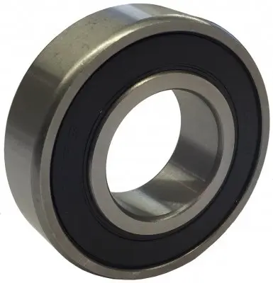 Rulment 6219 RS Generic