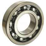 Rulment 6302 RIV